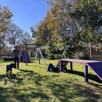 Pat Merritt Dog Park - Once the dogs got it, they loved it! - Dog Parks Near Me - Riverside, California Pat Merritt Dog Park - Once the dogs got it, they loved it! - Dog Parks Near Me - Riverside, California