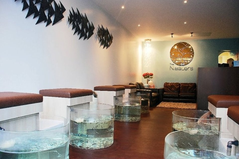 THE NIBBLERS Updated July 2024 68 Holton Road, Barry, Vale of