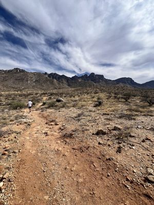 Catalina State Park by null
