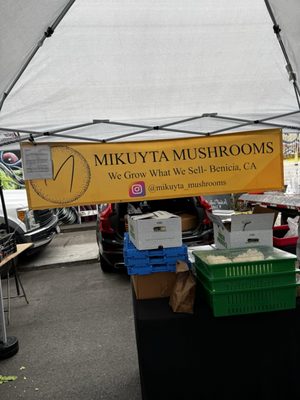 West Oakland Farmers Market by null