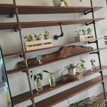 Earthcraft Juicery - Juice Bars & Smoothies Near Me - Houston, Texas