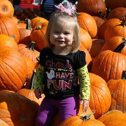 Shaw Farms