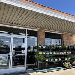 Saunders Ace Hardware - Front door and spring plants.