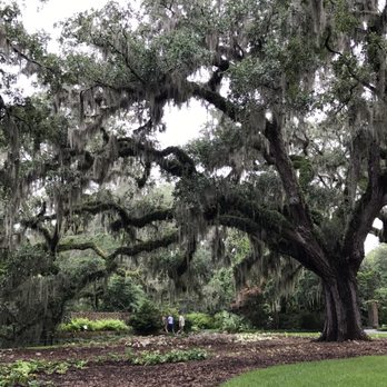 Brookgreen Gardens - Live oaks - Museums Near Me - Murrells Inlet, South Carolina Brookgreen Gardens - Live oaks - Museums Near Me - Murrells Inlet, South Carolina