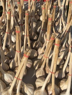 Midtown Farmers Market by null