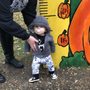 Photo of The Pumpkin Patch