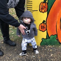 The Pumpkin Patch - Can't wait to remake this picture this year!