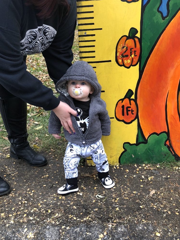 THE PUMPKIN PATCH Updated November 2024 18 Photos & 17 Reviews