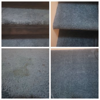 Just Ask Homecare - Carpet before and after - Lawn Services Near Me