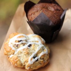 Wild Flour - Banff's Artisan Bakery Cafe - Saskatoon Berry White Chocolate Scone ($4.50 - not good) and Banana Chocolate Muffin (GF + DF) ($4.50 - better than scone but way too sweet)
