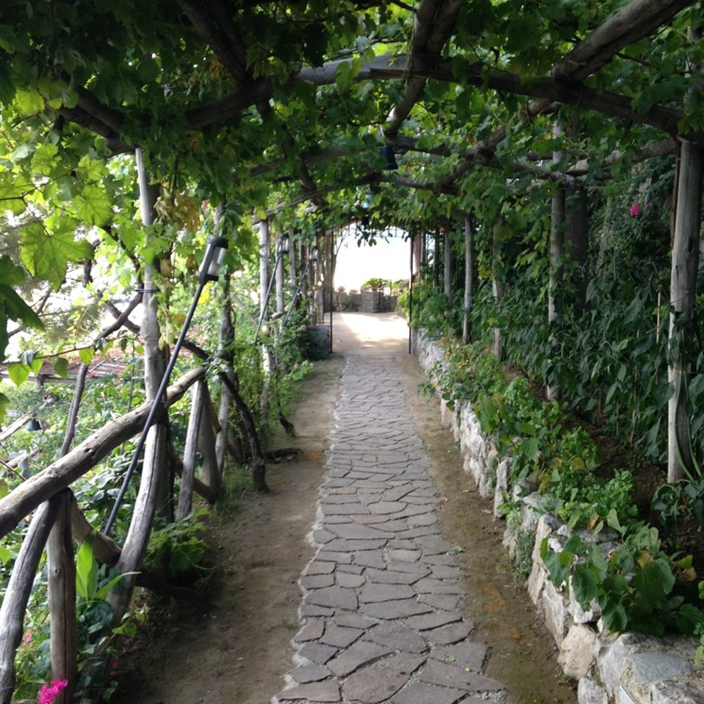 Villa Treville - Walkway at dusk - Hotels Near Me - Arienzo, SA