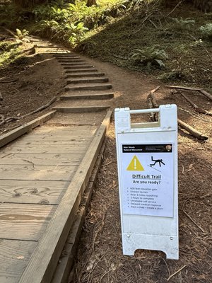 Mount Tamalpais State Park by null