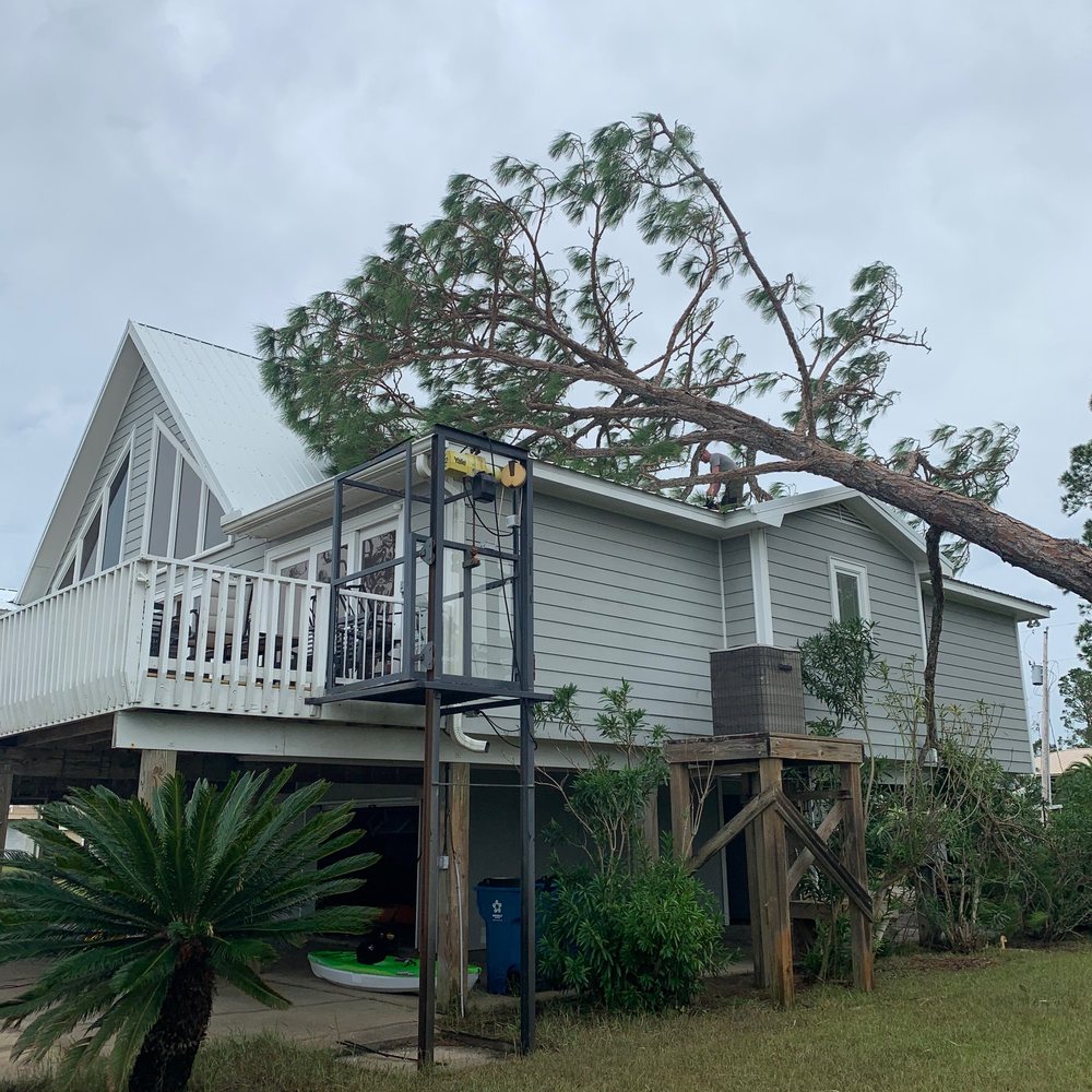 Coastal Tree & Fence - undefined - Tree Services Near Me Coastal Tree & Fence - undefined - Tree Services Near Me