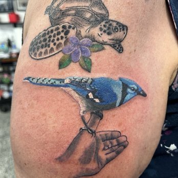 Art & Ink Tattoo Studio - Turtle & Blue Jay - Tattoo Near Me - Coachella, California Art & Ink Tattoo Studio - Turtle & Blue Jay - Tattoo Near Me - Coachella, California