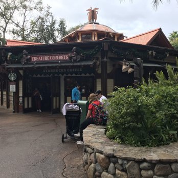 Creature Comforts - Coffee & Tea Near Me - Lake Buena Vista, Florida