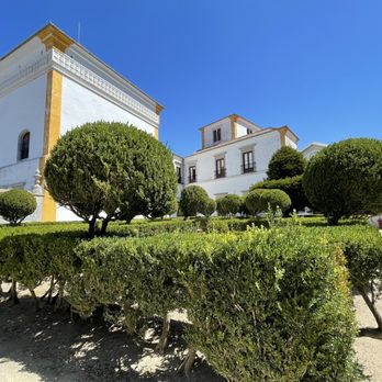 Palácio Nacional de Sintra - Inside the Princess Garden - Museums Near Me - Sintra, 11