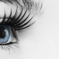 Contact Eye Care