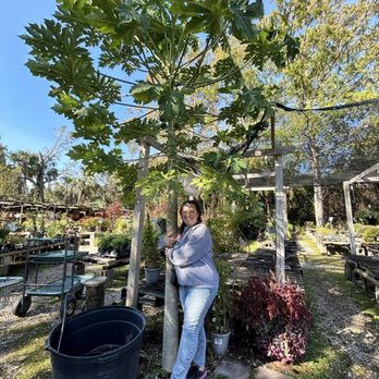 Maas Nursery - Nurseries & Gardening Near Me - Seabrook, Texas