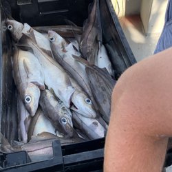 Elizabeth Marie Sportfishing - Haddock