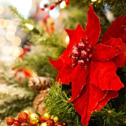 Cute Nails& Spa - I hope that this new month brings you great accomplishments and special memories!
Welcome to December!
