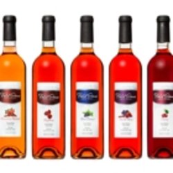 Field Stone Fruit Wines - Photo