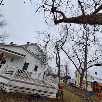 L&M Trades - Safely piecing out this dead limb - Tree Services Near Me - Merritt, North Carolina L&M Trades - Safely piecing out this dead limb - Tree Services Near Me - Merritt, North Carolina