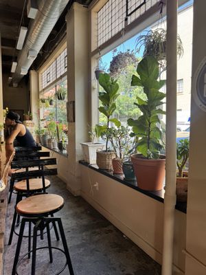 The Greenhouse Cafe & Cocktail Lounge by null