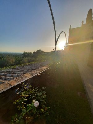 Relais Chateaux Il Falconiere & Spa by null