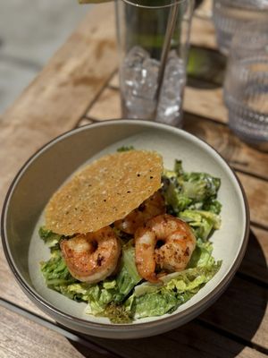 Fisch & Flore by null
