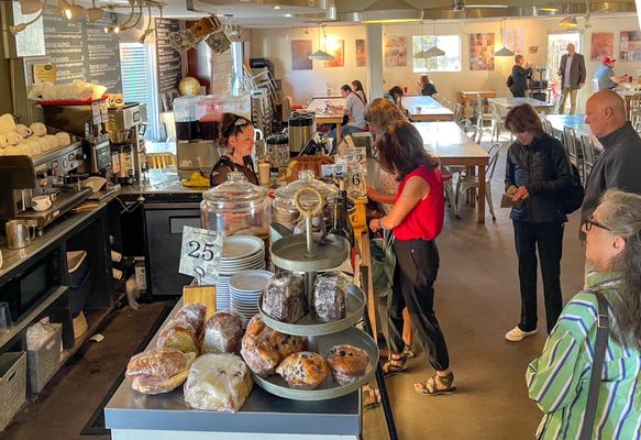 Counter Culture by null