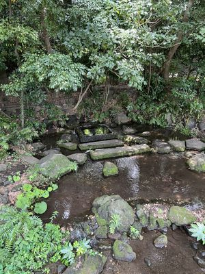 Inokashira Park by null