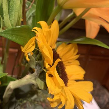 Murfreesboro Flower Shop - Dying sunflowers - Florists Near Me - Murfreesboro, Tennessee Murfreesboro Flower Shop - Dying sunflowers - Florists Near Me - Murfreesboro, Tennessee