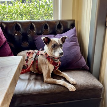 Oakville Wine Merchant - Hi Mike - Wine Tasting Room Near Me - Oakville, California Oakville Wine Merchant - Hi Mike - Wine Tasting Room Near Me - Oakville, California