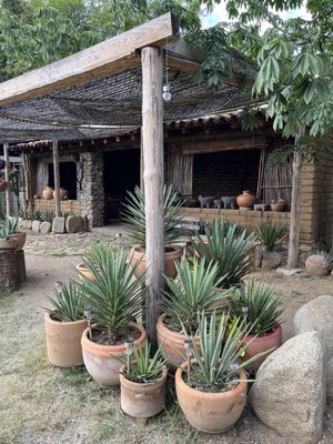 Tierra Antigua by null