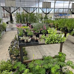 Canyon Creek Nursery