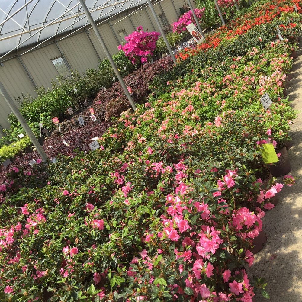 Outdoor Environments - Nurseries & Gardening Near Me - Braselton, Georgia Outdoor Environments - Nurseries & Gardening Near Me - Braselton, Georgia