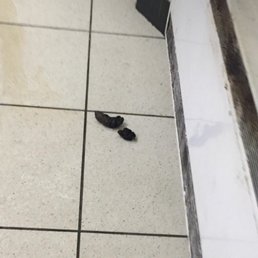 I found this in the back of the store when I was shopping. it was bigger in person