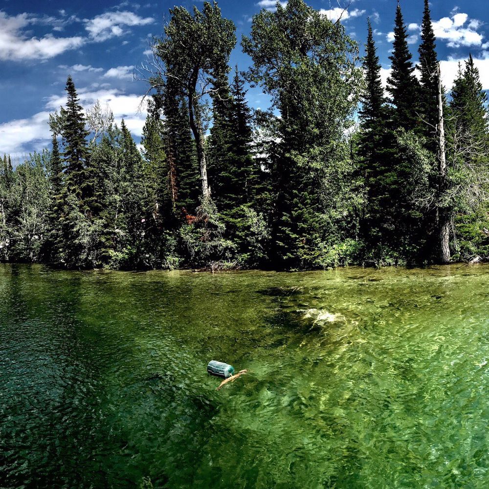 Jenny Lake Boating - Jenny Lake - Boating Near Me - Moose, Wyoming