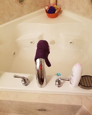 A'lanis Cleaning Service