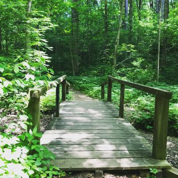 Turkey Run State Park - Parks Near Me - Marshall, Indiana