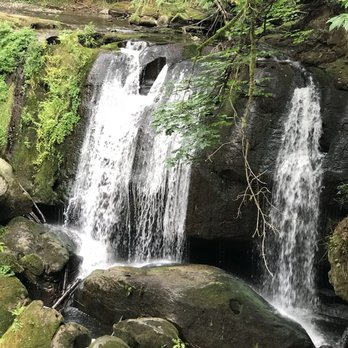 Whatcom Falls Park - The beauty is breathtaking. - Dog Parks Near Me - Bellingham, Washington Whatcom Falls Park - The beauty is breathtaking. - Dog Parks Near Me - Bellingham, Washington