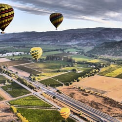 My Napa Guide
