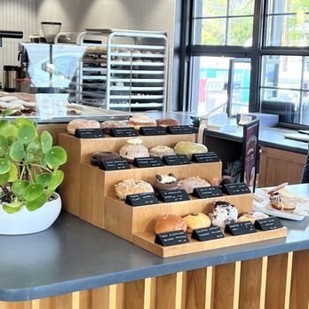 The Salty Donut - Donut options - Donuts Near Me - Austin, Texas The Salty Donut - Donut options - Donuts Near Me - Austin, Texas