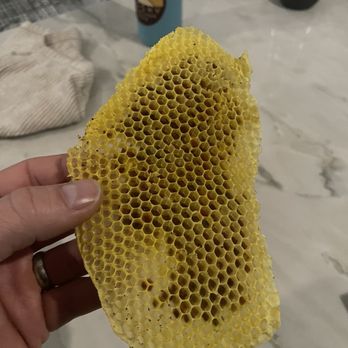 Bee Chaser - Comb harvested from the site - Pest Control Near Me - Vista, California Bee Chaser - Comb harvested from the site - Pest Control Near Me - Vista, California