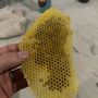 Bee Chaser