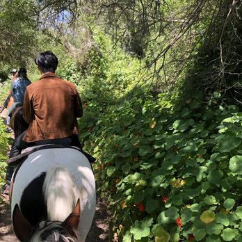Pacific Dunes Riding Ranch - Horseback Riding Near Me - Oceano, California Pacific Dunes Riding Ranch - Horseback Riding Near Me - Oceano, California