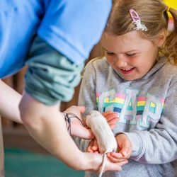 Cantef Adventure Farm - Meet the Rodents at Cantref