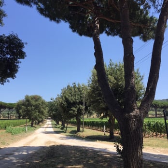 Tenuta Argentiera - Beer, Wine & Spirits Near Me - Donoratico, LI Tenuta Argentiera - Beer, Wine & Spirits Near Me - Donoratico, LI