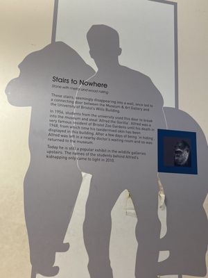 Bristol Museum & Art Gallery by null