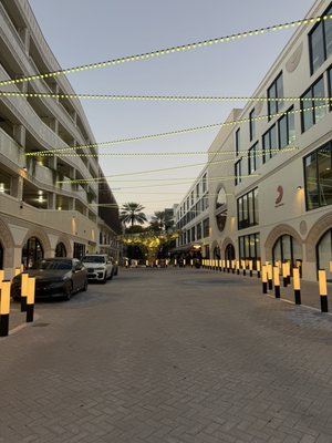 Coconut Grove by null